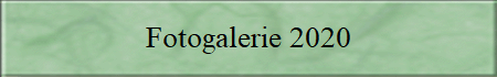 Fotogalerie 2020